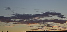 35366 DSC0552